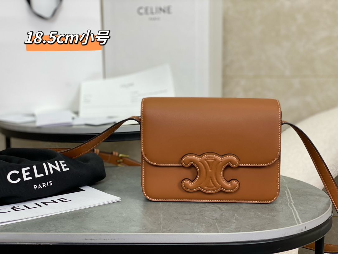 Celine Triomphe Bags